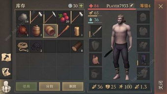 轻松掌握！揭秘《幻想生活i》上等薄荷石矿高效获取攻略