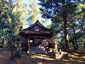 夏目友人帐叶月祠堂分布攻略，探秘神秘祠堂位置全解析