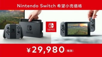 《NintendoSwitch2全收集攻略》解锁秘籍，高效通关新体验