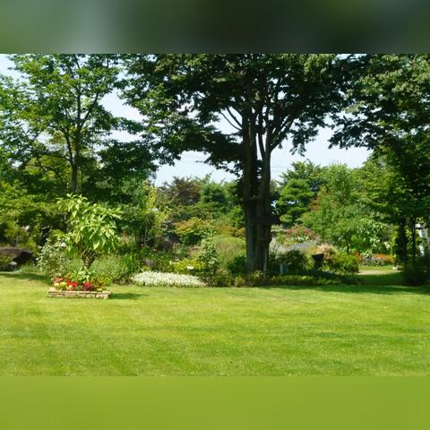 高效攻略：幻想生活i刷栗子新技巧，轻松提升收益