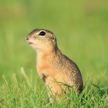 勇键岛全攻略：材料点位速查秘籍大公开