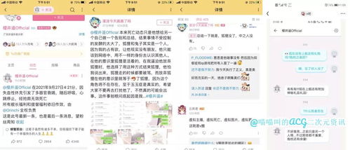 遥樱岛全攻略：材料点位速查秘籍