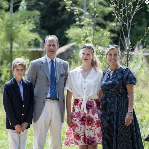 女爵遗物实战攻略：深度解析与全新价值解析