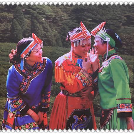 《泡姆泡姆》豪华版深度解析：独家内容大揭秘，价值升级亮点抢先看