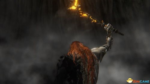 《艾尔登法环》黑夜君临BOSS攻略：利普拉黑夜战法解析，高效击破新技巧