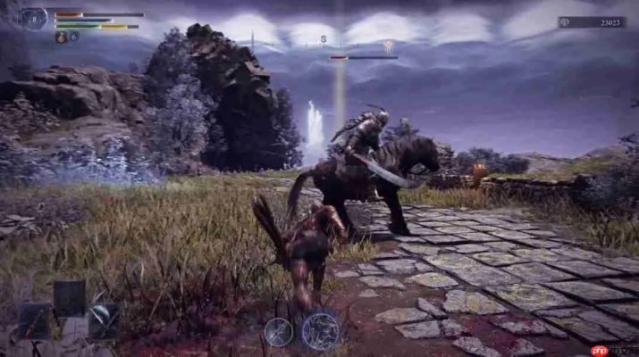 艾尔登法环黑夜君临万金油阵容攻略：打造无敌君临强配队秘籍