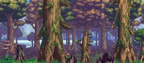 托恩特秘境探秘：揭秘大树神秘位置
