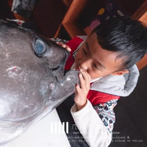 熔岩鲔鱼位置攻略：鱼鳍获取新途径大揭秘