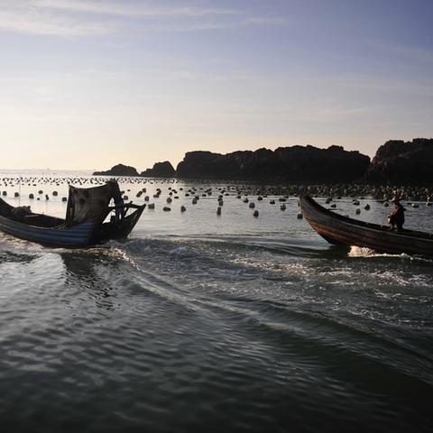 轻松解锁《幻想生活i》乌龟坐骑攻略，掌握独门获取秘籍！