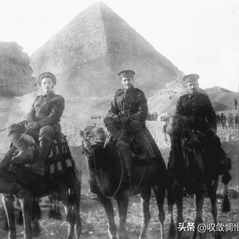 骆驼坐骑轻松获取攻略，揭秘独门秘籍！