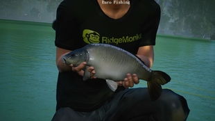 《幻想生活i》钓金枪鱼秘境曝光，冻结技巧大揭秘！