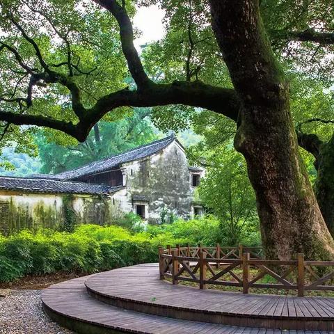 《幻想生活i高效攻略：转圈龙偷时少女神秘石板刷法揭秘》