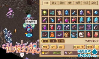 《幻想生活i速刷龙圈法，揭秘少女偷时新技巧》