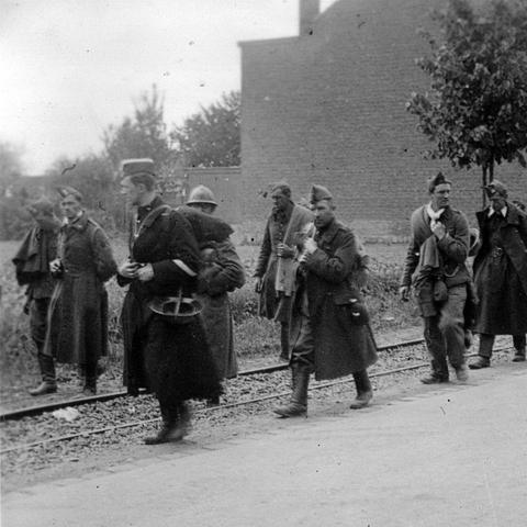 恶魔粉末高效攻略：解锁《幻想生活i》神秘新价值