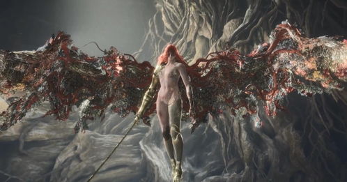 女爵之力觉醒：揭秘艾尔登法环黑夜君临职业新篇章