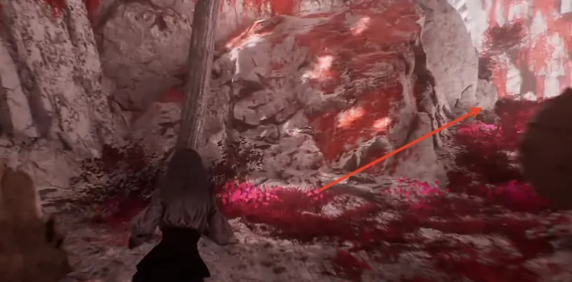 《光与影33号远征队》绯红森林全攻略：深度解析收藏秘籍