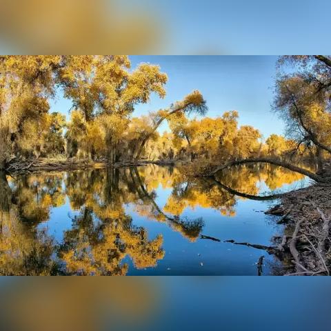 《光与影33号》落叶地全收集攻略，深度解析新技巧解锁秘籍