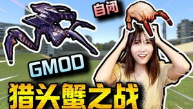 《群狼之城》女侠绝技揭秘，全新价值力作震撼来袭