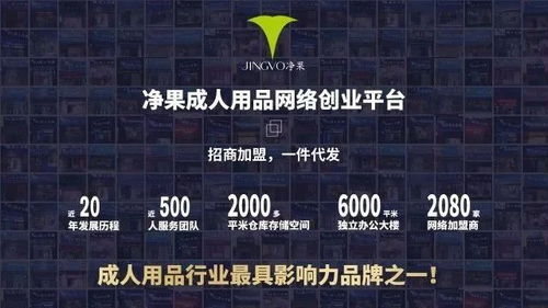 《光与影33号远征队》作弊符纹获取技巧解析，高效攻略新方法大揭秘