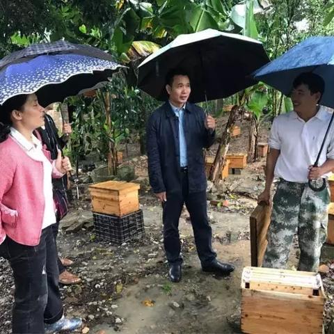 《光与影33号远征队》自动死亡符纹攻略：高效获取新技巧揭秘