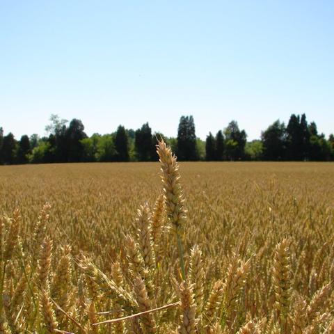 绝地求生PPM第二日巅峰对决，精彩集锦盘点！