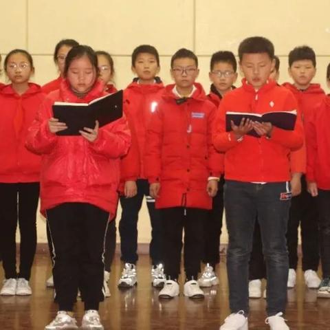 高阶坚壳获取攻略：揭秘高效远征队升级秘籍