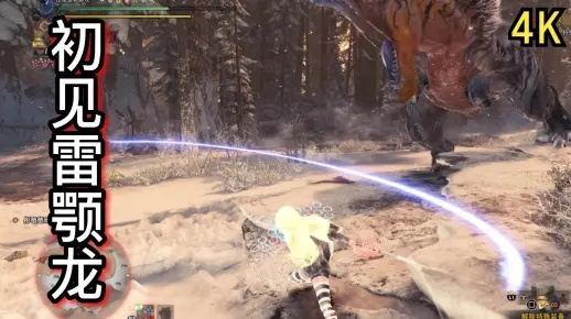 荒野煌雷龙盾斧毕业攻略，解锁全新战斗价值秘籍