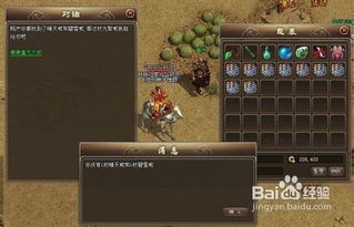 《饿狼传说群狼之城》金东焕高伤连段攻略：打造致命连击新境界