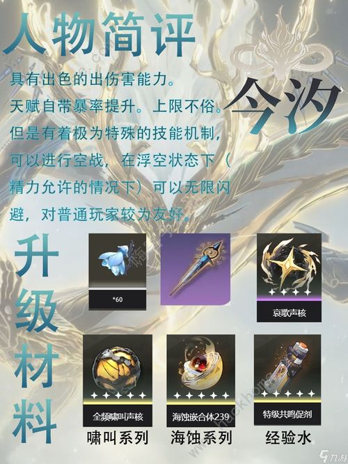 《鸣潮》赞妮培养攻略：武器声骸搭配与全面提升技巧解析