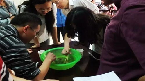 《光与影33号队》独门技巧：轻松掌握清除亮色符纹秘法