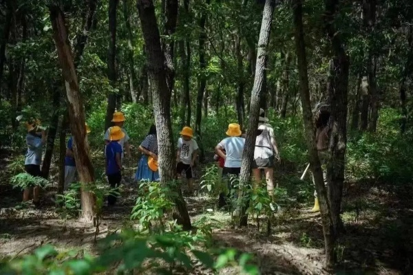 春意原野默偶藏匿秘境，探秘33号远征队寻宝攻略