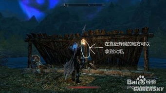 《上古卷轴4》盗贼公会加入攻略：解锁神秘组织新篇章