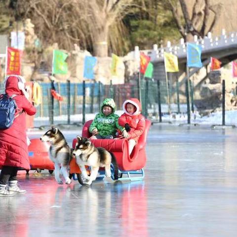 《上古卷轴4重制版》豪华版秩序套装获取秘籍，解锁神秘力量攻略！