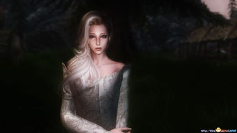 《上古卷轴4》布莱顿白发女捏脸攻略，解锁独特魅力新玩法