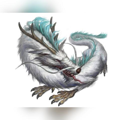 上古卷轴4重制版免费坐骑攻略：轻松获取独门秘籍大揭秘