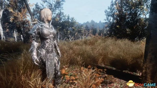 上古卷轴4重制版色彩焕新，独家MOD打造视觉盛宴