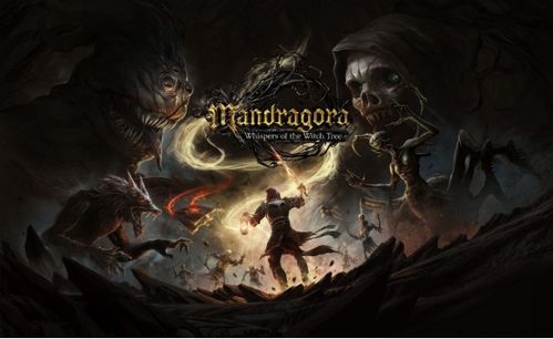 《秘影曼德拉》大招流攻略：打造无懈可击的无限战斗新境界