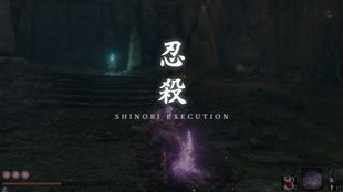 《秘影曼德拉》管理员BOSS攻略：深度解析与高效打法技巧揭秘