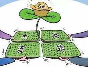 北部山区高效搜刮攻略，掌握无限资源新技巧