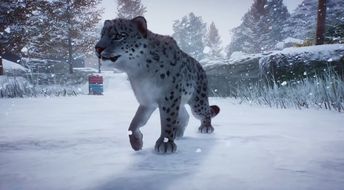 《好莱坞动物》全攻略：揭秘动物明星养成记