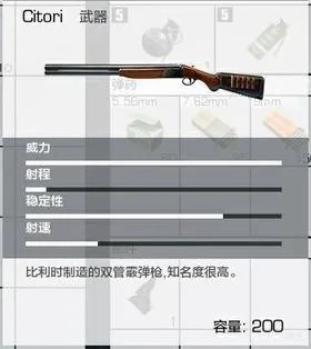 铁王八铳枪全解析：荒野狩猎最强装备攻略揭秘