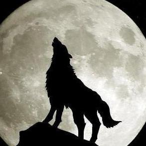 《饿狼传说群狼之城》特瑞独白揭秘：群狼之城特瑞金句精选