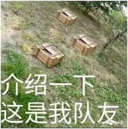 《荒野滚筒挑战》4月8日高分攻略，掌握技巧轻松翻倍得分