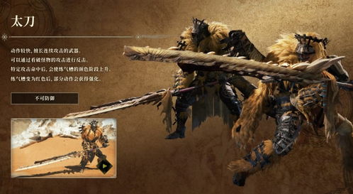 《怪物猎人荒野》太刀弱特5强配攻略，解锁全新战斗价值