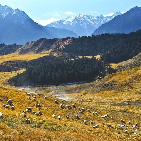 荒野新怪泡狐龙，集会所开启任务攻略揭秘！