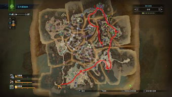 荒野奇遇：超大柔毛秧鸡藏匿大集会所，探秘神秘动物新发现