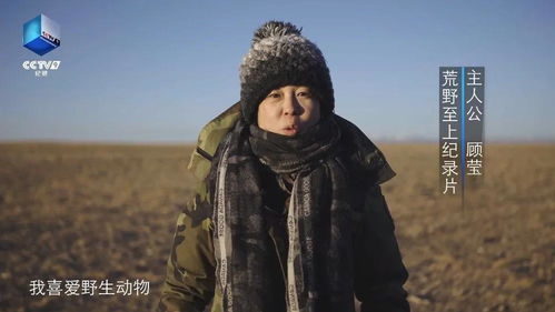 阿尔玛换镜攻略：解锁《荒野》热情眼镜新境界