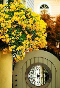 《开放空间》风荷庭院全攻略：揭秘宝箱与星星位置秘籍