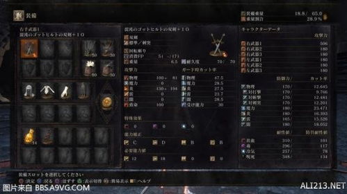 《三国志水桶号三魂攻略》深度解析：常用三魂构筑技巧揭秘与优化