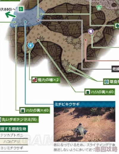 《怪物猎人荒野》高效采集攻略：揭秘消耗品收集技巧
